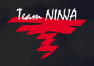 Team Ninja - logo