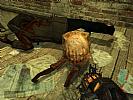 Half-Life 2 - screenshot #24