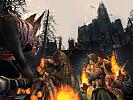 The Lord of the Rings Online: Siege of Mirkwood - screenshot #17