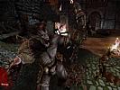 Dragon Age: Origins - The Darkspawn Chronicles - screenshot #3