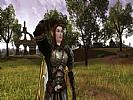 The Lord of the Rings Online: Riders of Rohan - screenshot #11