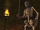 The Elder Scrolls 3: Morrowind - screenshot #14