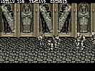 Double Dragon III: The Sacred Stones - screenshot #7