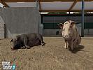 Farming Simulator 22 - screenshot #29