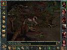 Baldur's Gate - screenshot #13