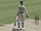 Cricket 2004 - screenshot #10