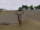 Deer Hunter 2004 - screenshot #58