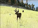 Deer Hunter 2004 - screenshot #50