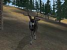 Deer Hunter 2004 - screenshot #49