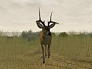 Deer Hunter 2005 - screenshot #3