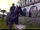 Neverwinter Nights: Wyvern Crown of Cormyr MOD - screenshot #11