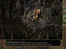 Baldur's Gate 2: Shadows of Amn - screenshot #115