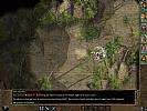 Baldur's Gate 2: Shadows of Amn - screenshot #41