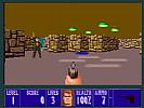 Wolfenstein 3D - screenshot #7