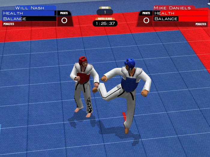 Tae Kwon Do World Champion - screenshot 13