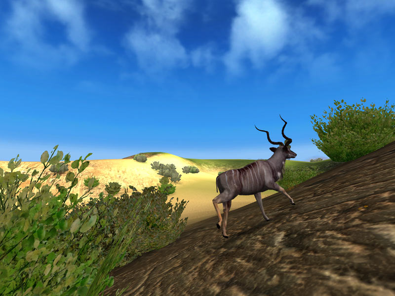 Hunting Unlimited 2009 - screenshot 7