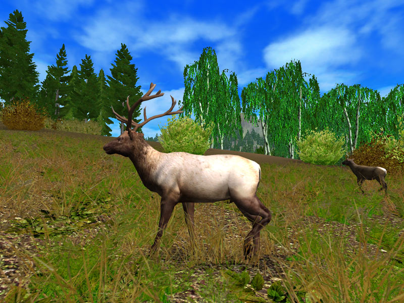 Hunting Unlimited 2009 - screenshot 5