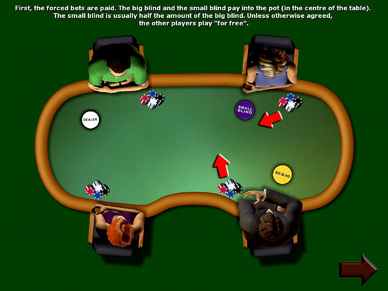 Poker Simulator - screenshot 13