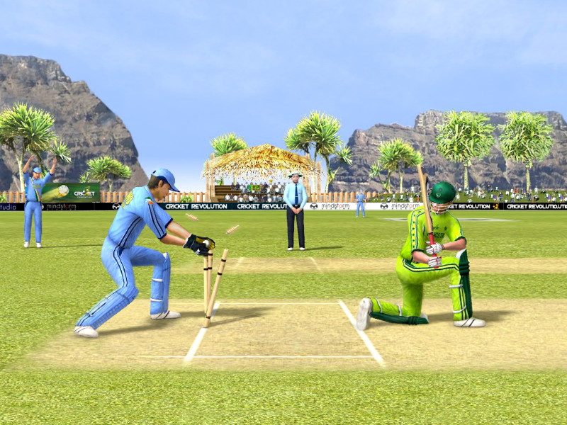 Cricket Revolution - screenshot 3