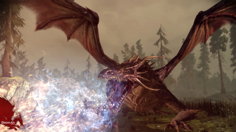 Dragon Age: Origins - screenshot 60