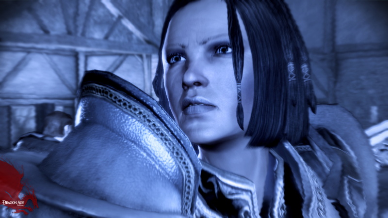 Dragon Age: Origins - Warden's Keep - screenshot 2
