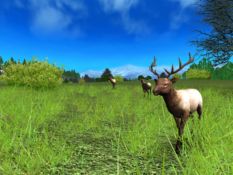 Hunting Unlimited 2010 - screenshot 10