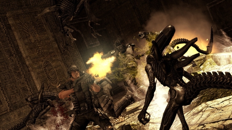 Aliens vs Predator - screenshot 3