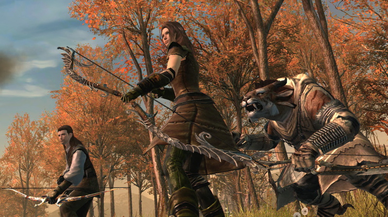 Guild Wars 2 - screenshot 9