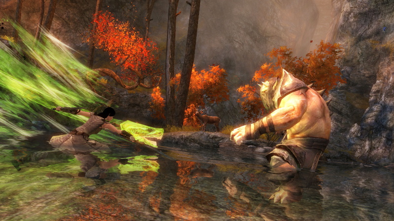Guild Wars 2 - screenshot 8