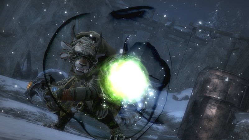 Guild Wars 2 - screenshot 4