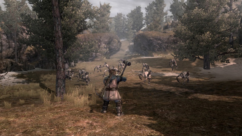 The Lord of the Rings: War in the North - screenshot 39