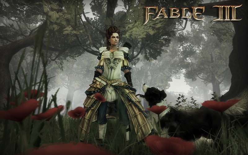 Fable III - screenshot 8