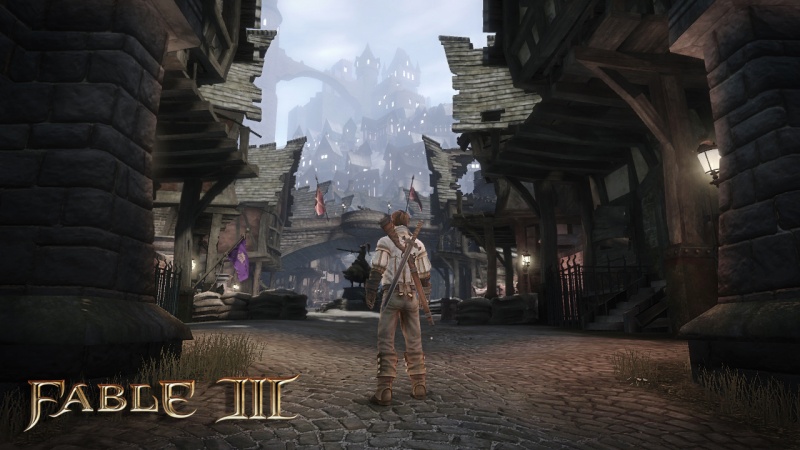 Fable III - screenshot 5