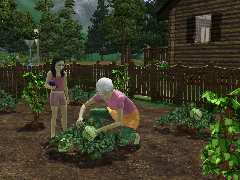 The Sims 3: Hidden Springs - screenshot 5