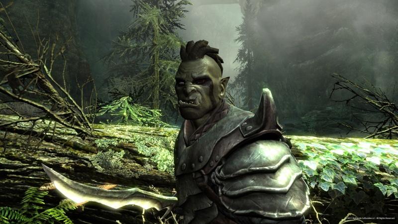 The Elder Scrolls 5: Skyrim - screenshot 18