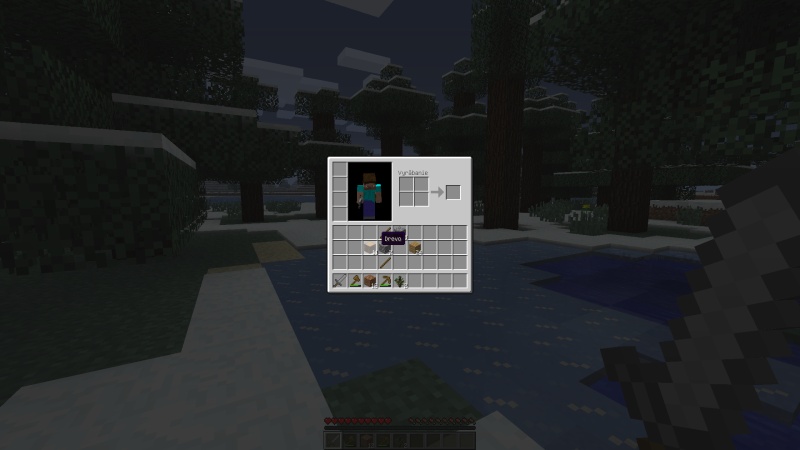 Minecraft - screenshot 21