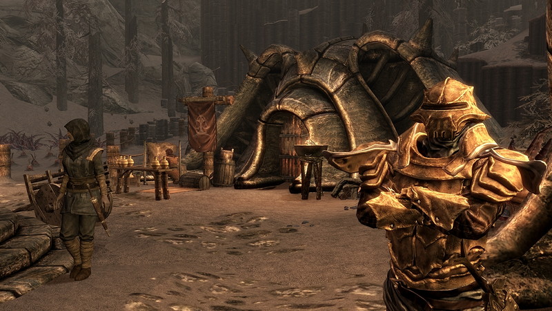 The Elder Scrolls V: Skyrim - Dragonborn - screenshot 4