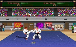 Budokan: The Martial Spirit - screenshot 29