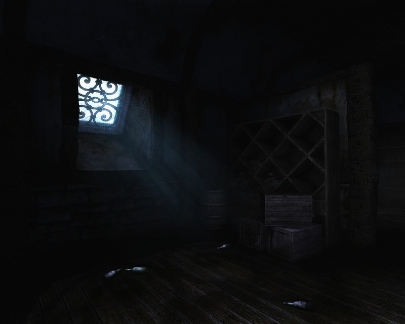 Amnesia: The Dark Descent - screenshot 1