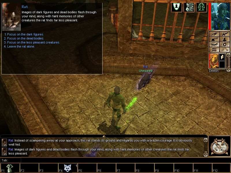 Neverwinter Nights: Hordes of the Underdark - screenshot 18