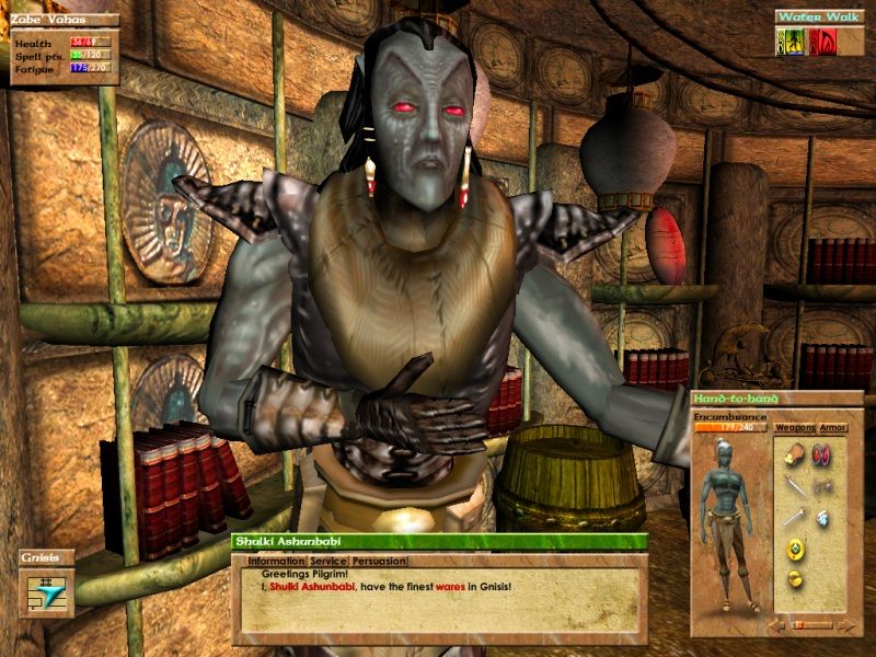 The Elder Scrolls 3: Morrowind - screenshot 38