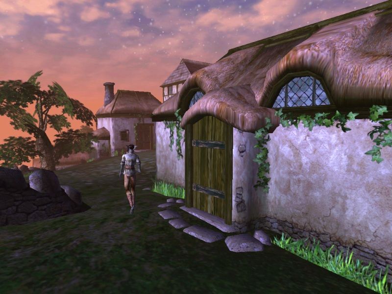 The Elder Scrolls 3: Morrowind - screenshot 33
