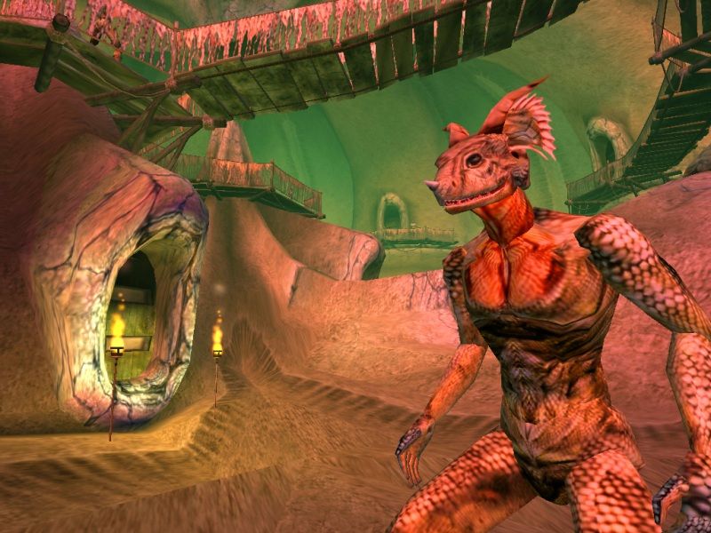 The Elder Scrolls 3: Morrowind - screenshot 22