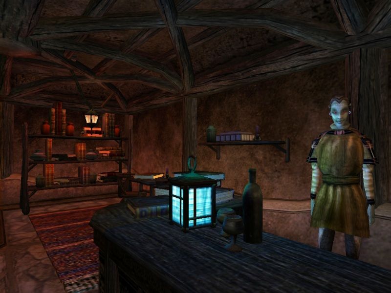 The Elder Scrolls 3: Morrowind - screenshot 3