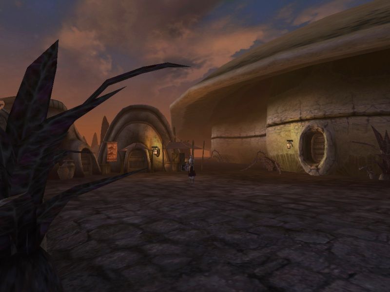 The Elder Scrolls 3: Morrowind - screenshot 1