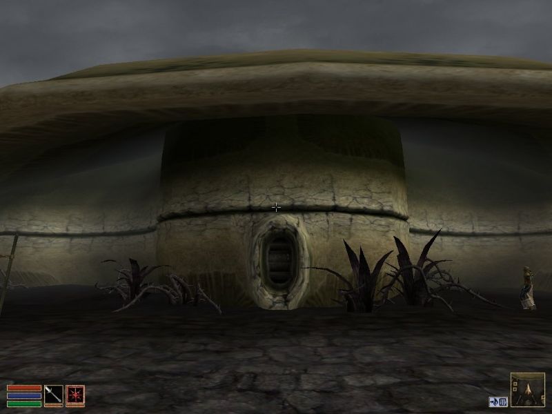 The Elder Scrolls 3: Morrowind - Collector's Edition - screenshot 10