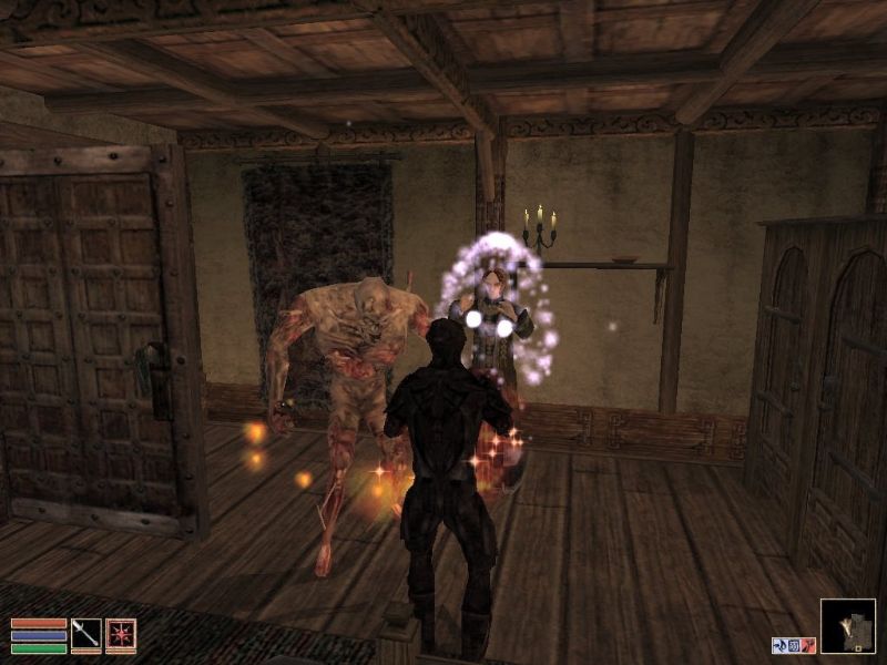 The Elder Scrolls 3: Morrowind - Collector's Edition - screenshot 4
