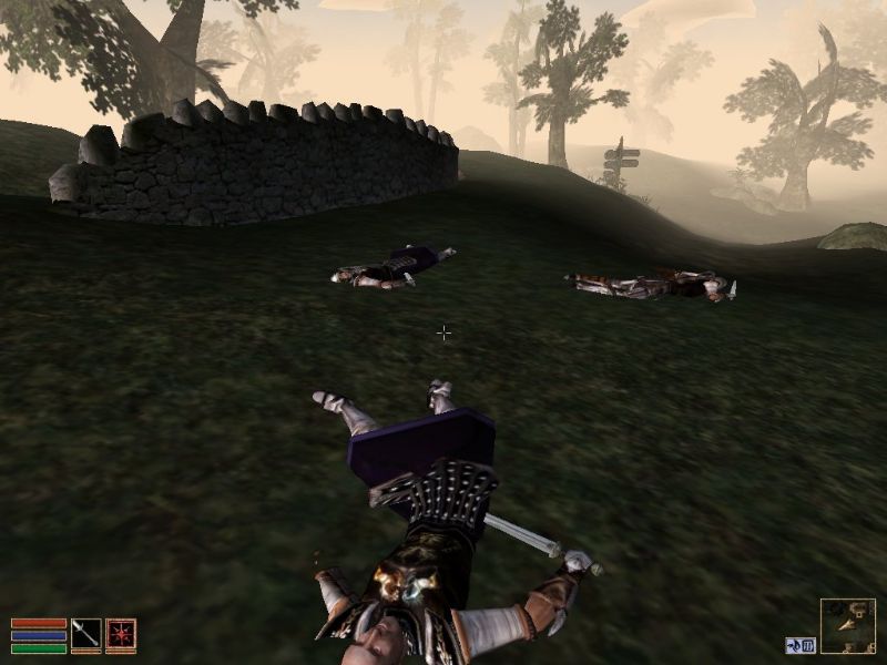 The Elder Scrolls 3: Morrowind - Collector's Edition - screenshot 1