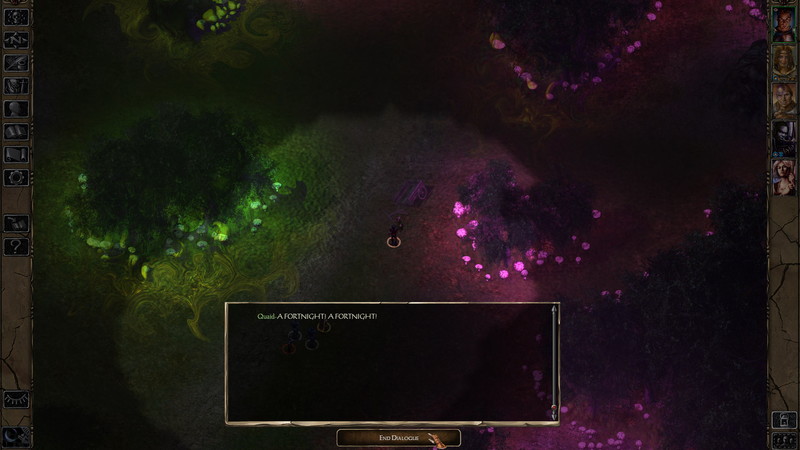 Baldur's Gate II: Enhanced Edition - screenshot 13