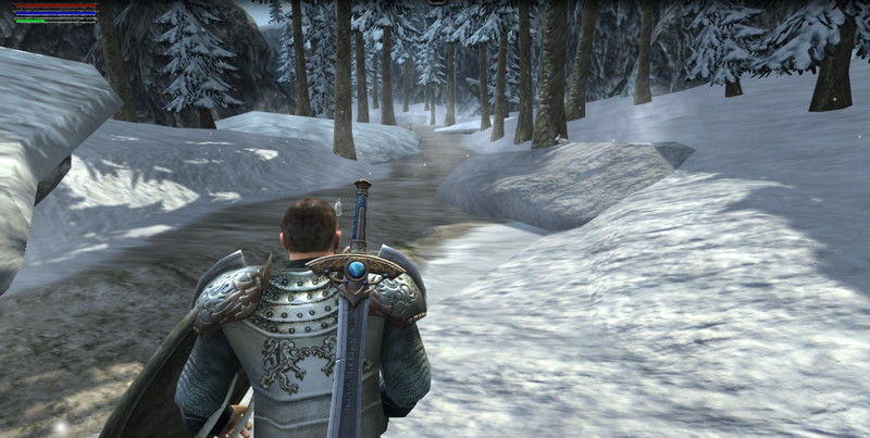 Ravensword: Shadowlands - screenshot 3